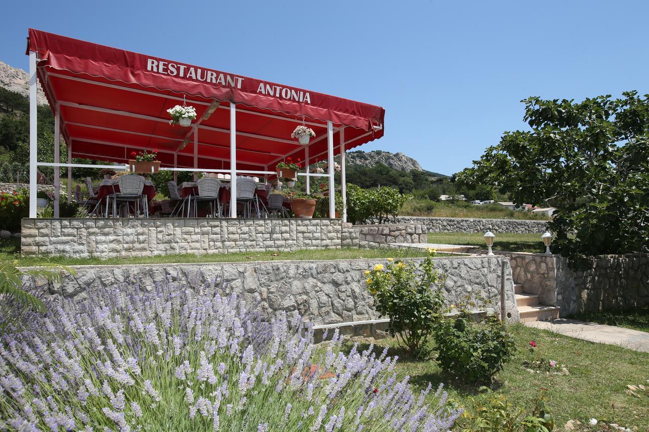 Pension Antonia Jurandvor Extérieur photo