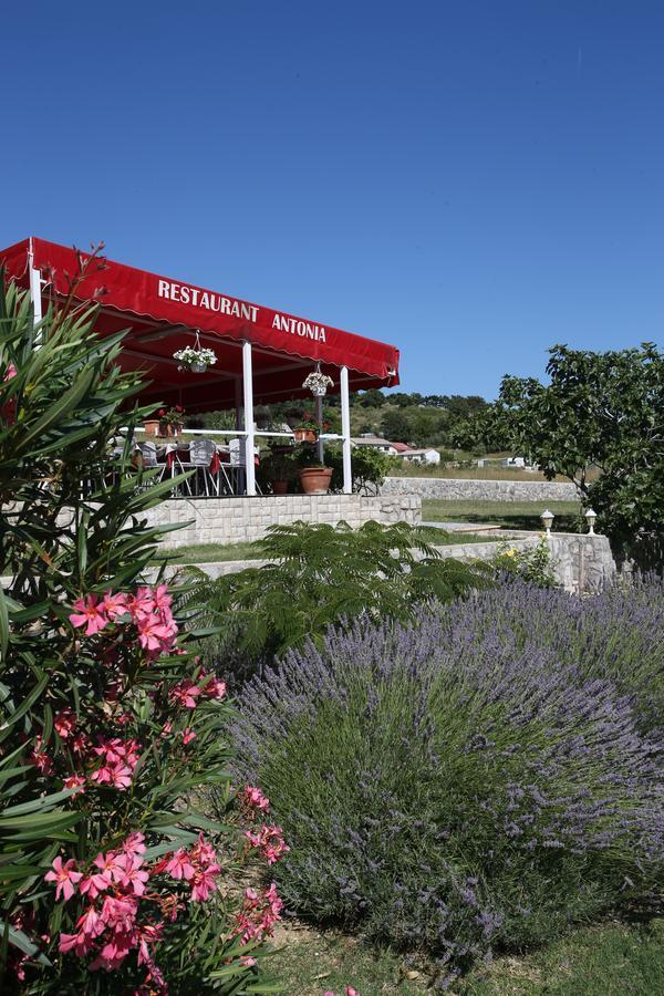Pension Antonia Jurandvor Extérieur photo